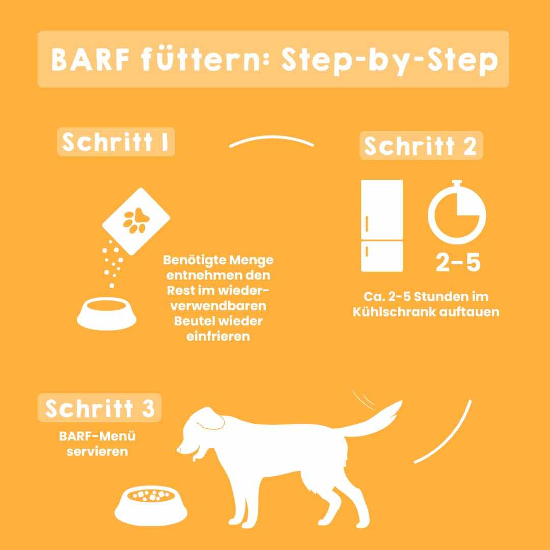 Schritt-für-Schritt-Anleitung für BARF-Fütterung an mittelgroße Hunde.