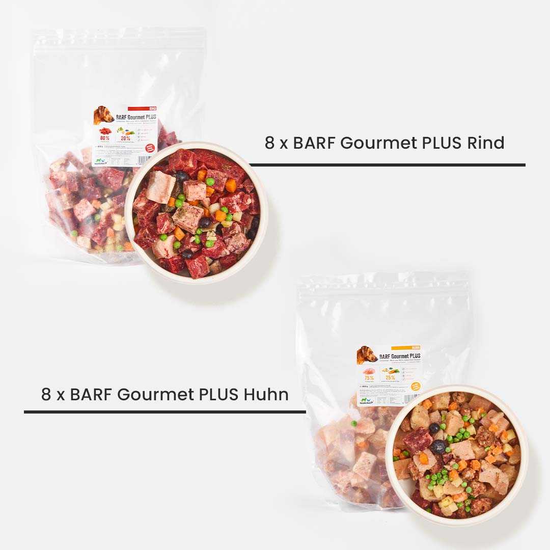 Einsteigerpaket für mittelgroße Hunde mit BARF Gourmet PLUS Rind und Huhn, inklusive Lachsöl und Ulmenrinde. Ideal für die gesunde Futterumstellung.