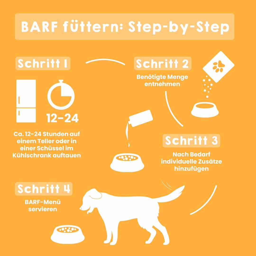 Schritt-für-Schritt-Anleitung zur BARF-Fütterung für Hunde.