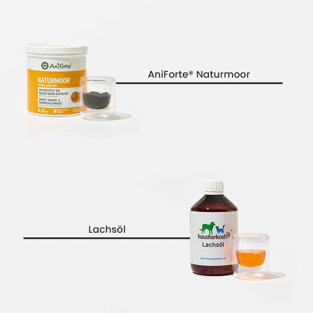 Einsteigerpaket für große Hunde mit Naturmoor und Lachsöl für gesunde Verdauung und glänzendes Fell. Beide Produkte werden auf weißen Hintergrund gezeigt.