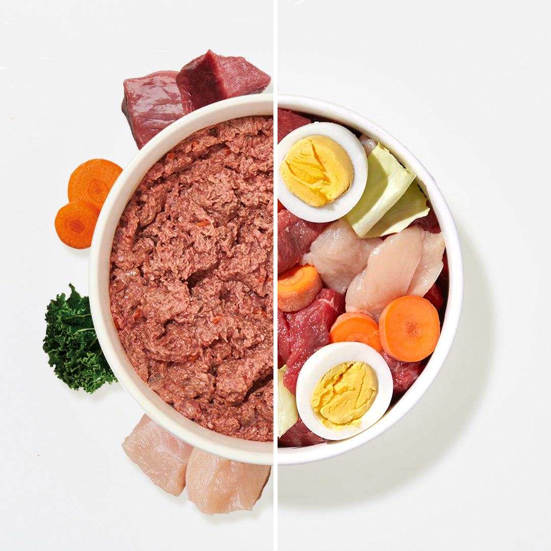 BARF Komfort Plus Rind & Huhn Welpe - haustierkost.de®