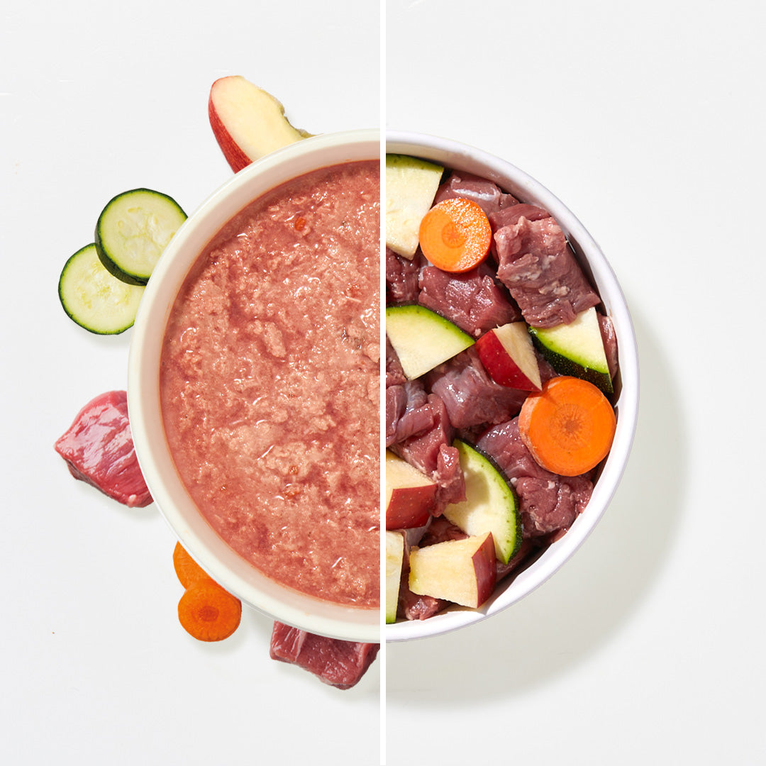 BARF Komfort Plus Lamm Welpe - haustierkost.de®