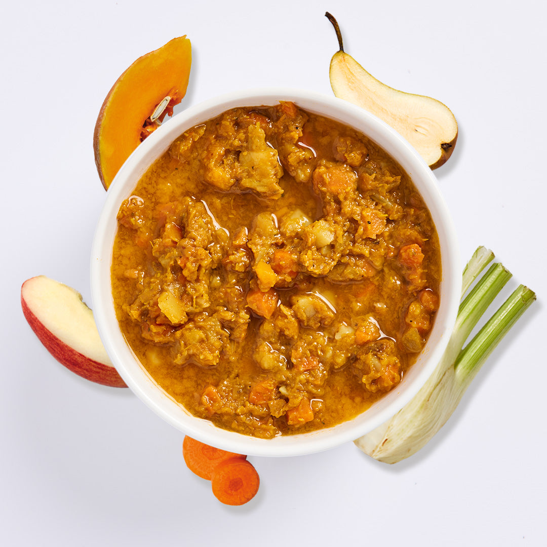 FrischePüree Magen mit Karotte, Kürbis, Apfel, Birne und magenfreundlichen Kräutern in Schale auf weißem Hintergrund