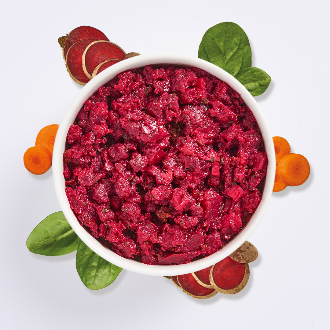 FrischePüree Probierpaket mit rotem Gemüse-Obst-Püree in weißer Schale und frischen Gemüsescheiben drumherum