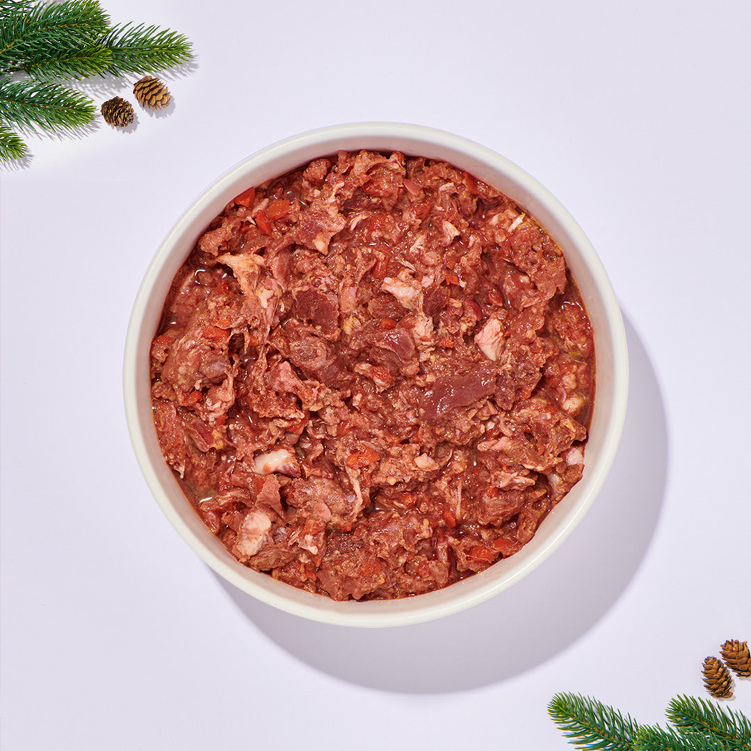 BARF Komfort Plus Edle Ente Hundenahrung mit Weihnachtsente und saisonalem Obst und Gemüse in weißer Schale mit Tannenzweigen dekoriert