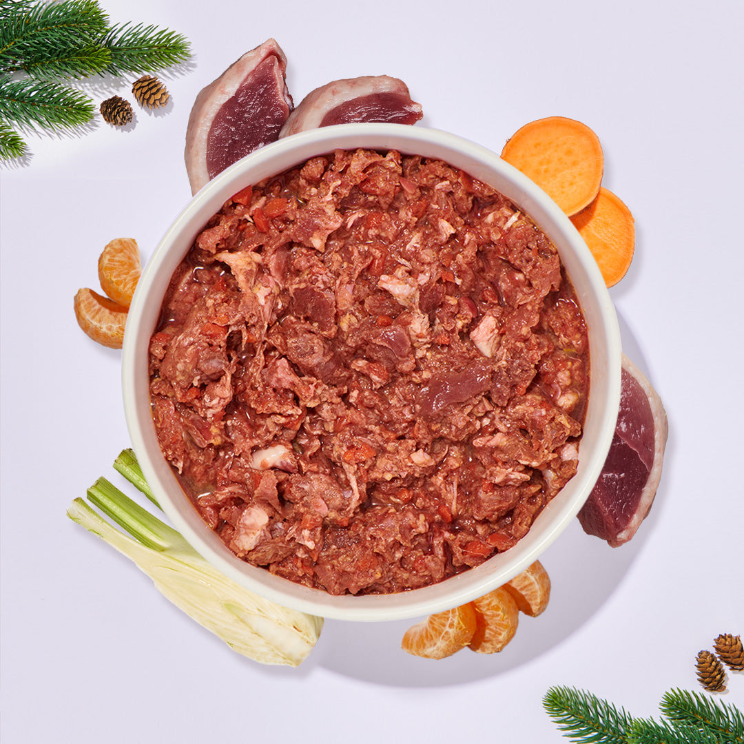 BARF Komfort Plus festliches Hundefutter mit Ente, Süßkartoffel, Fenchel und Mandarine in Schale