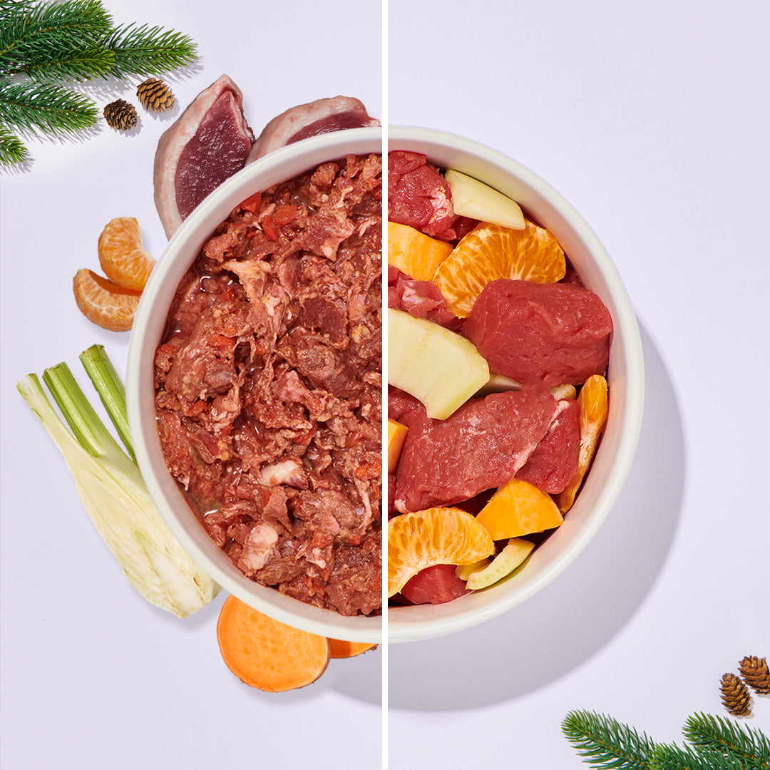 BARF Komfort Plus Weihnachtsmenü für Hunde mit Ente, Mandarine, Süßkartoffel und Fenchel in Futternapf
