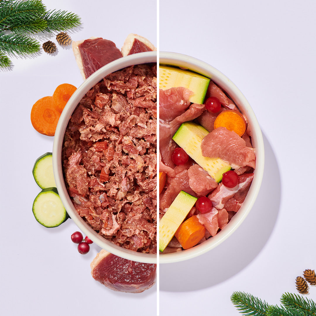 BARF Komfort Plus festliches Hundenapf mit Gans, Gemüse und Preiselbeeren