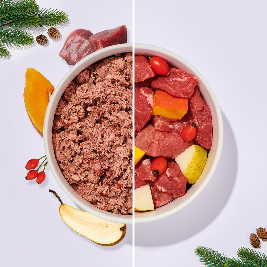 BARF Komfort Plus Feines Rind mit Kürbis, Birne und Hagebutte in Futternapf für Hunde