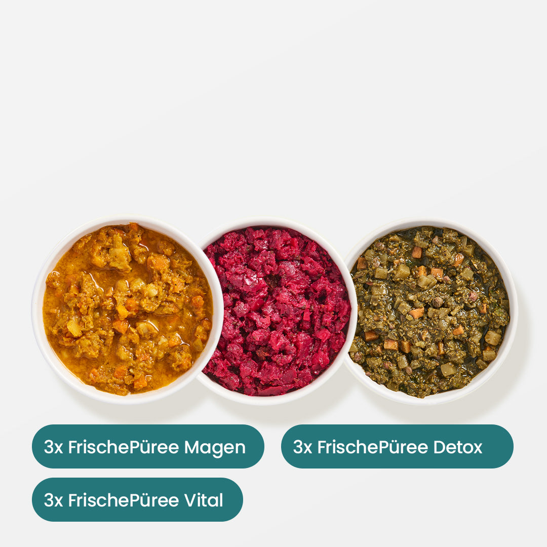 FrischePüree Probierpaket mit drei Sorten Gemüse-Obst-Püree für BARF-Ergänzung
