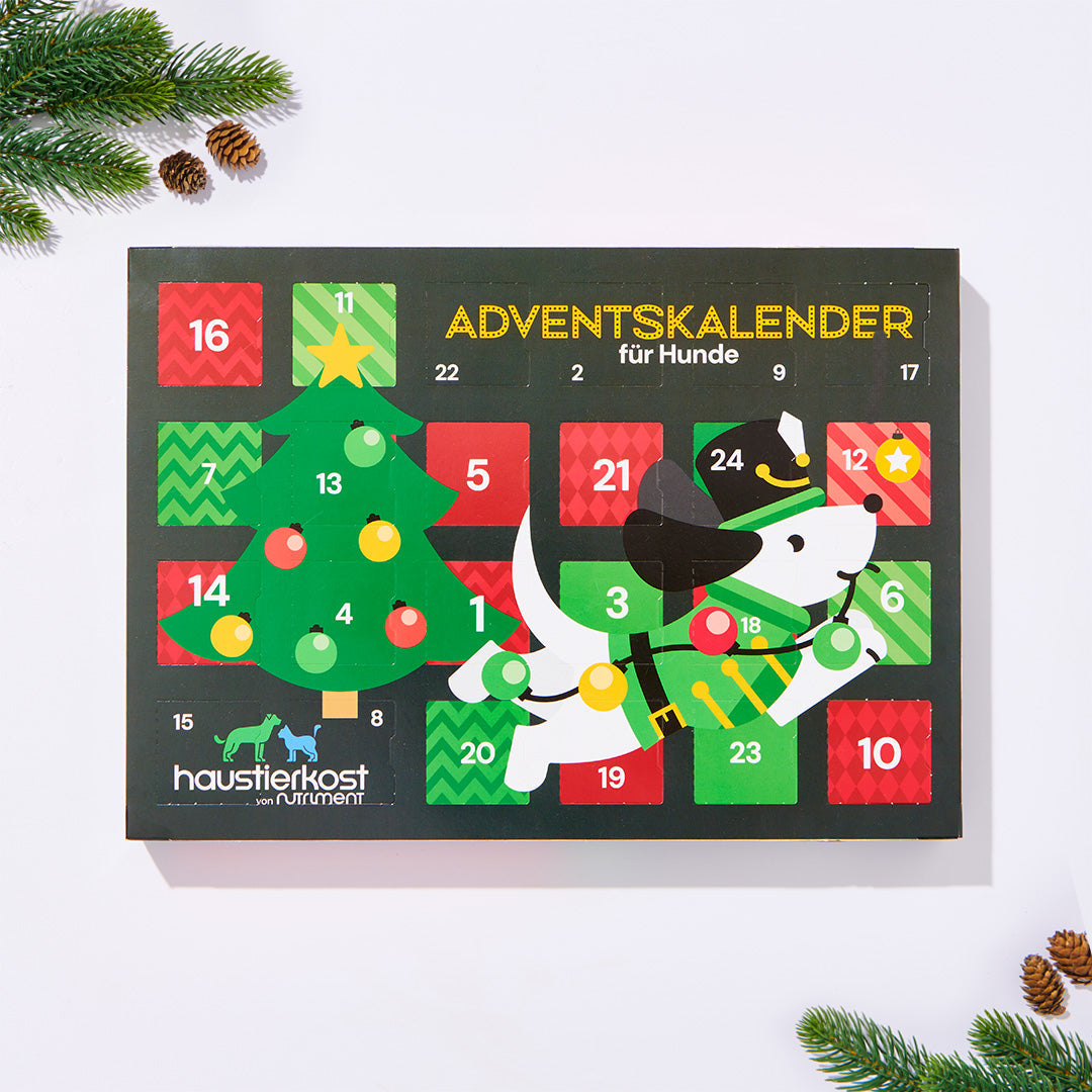 Adventskalender Standard mit 24 Leckerlis für Hunde in weihnachtlichem Design