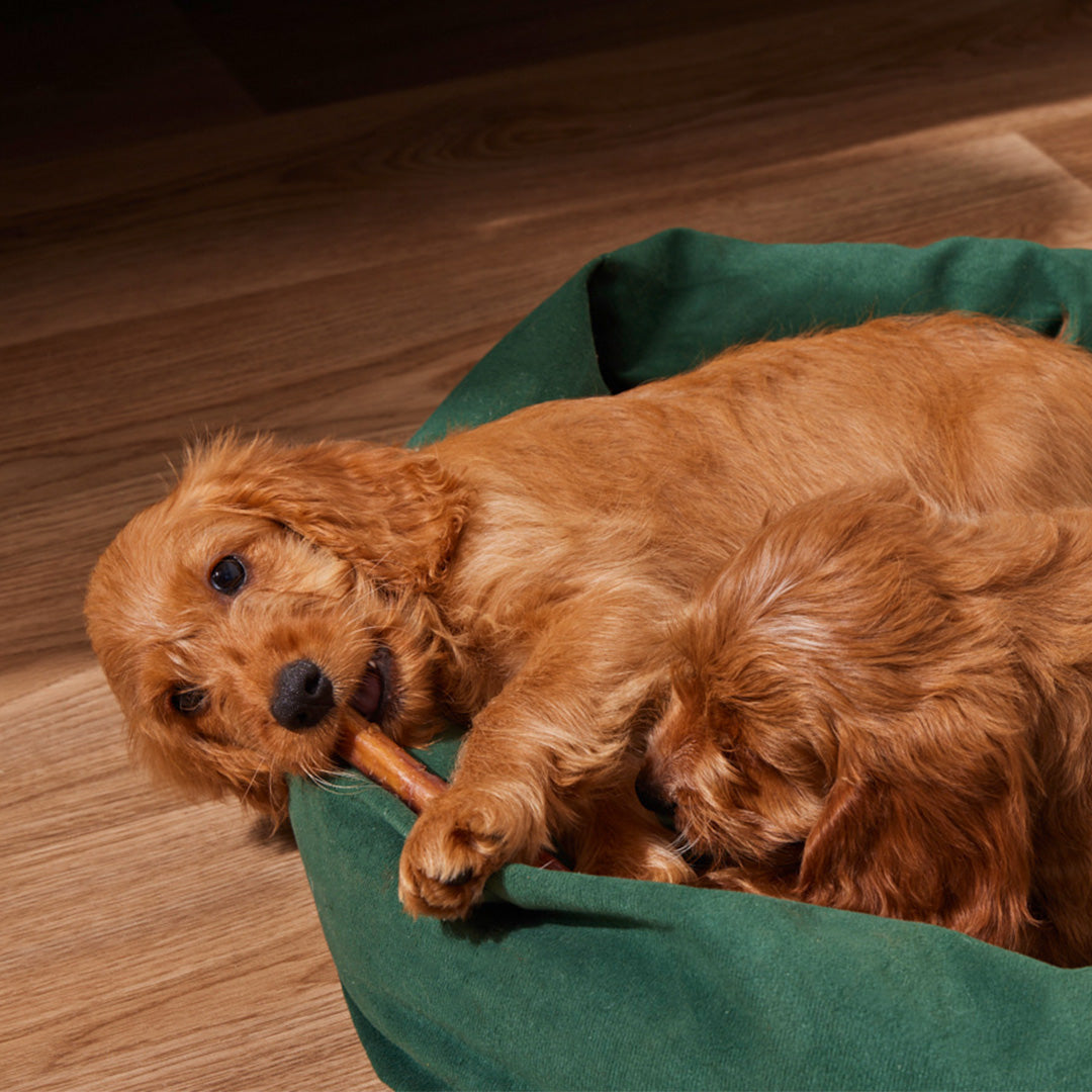 Getrockneter Ochsenziemer 200 g für Welpen mit dünnen Stücken zur Zahnpflege und Kauspaß