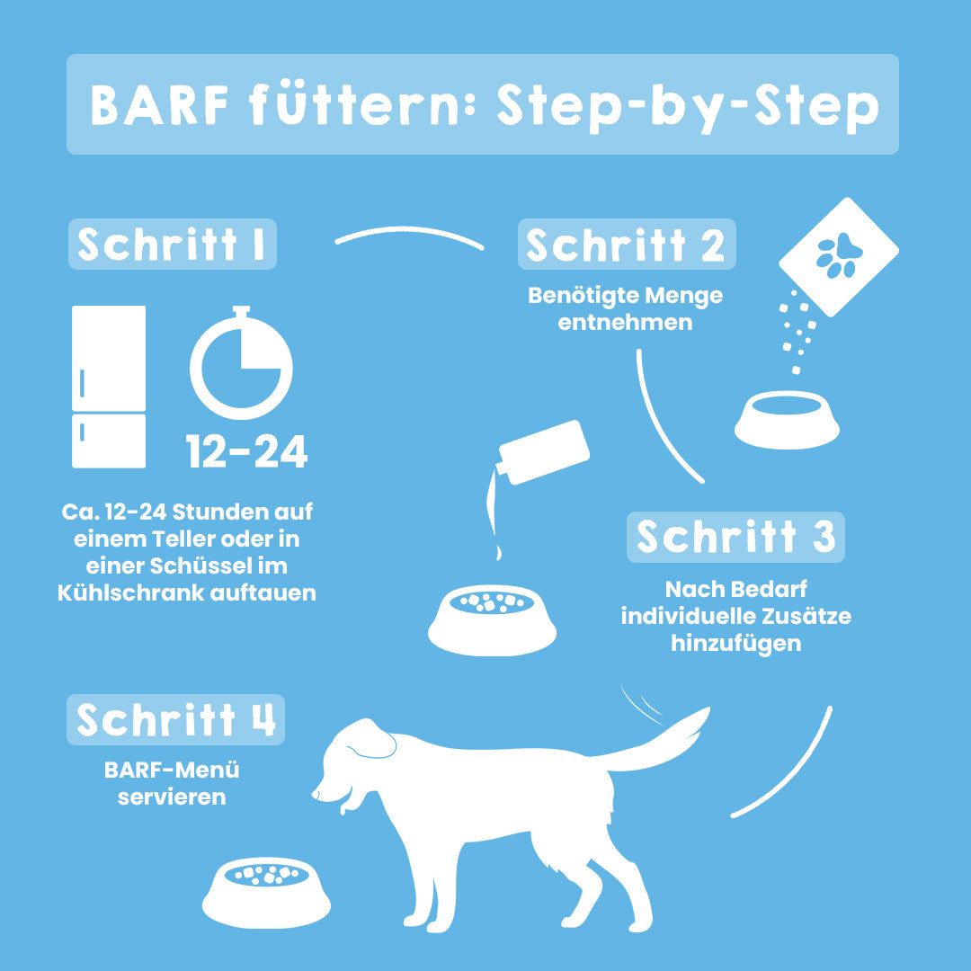 Infographic showing steps for preparing BARF dog food, including thawing, measuring portions, adding supplements, and serving.