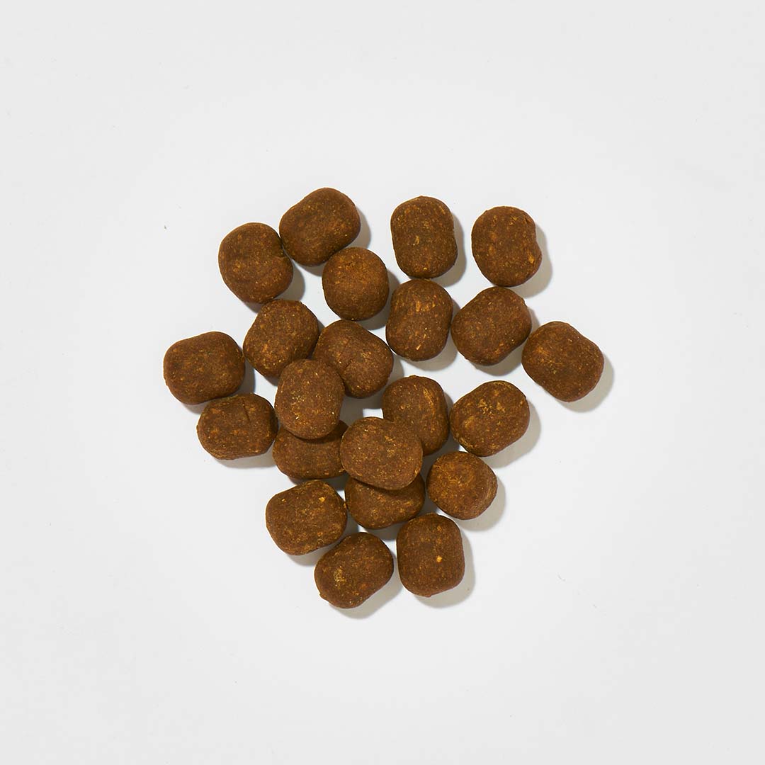 AniForte® Z-Season Snack, 350 g, Hundesnacks aus Hähnchenfleisch und natürlichen Zutaten, getreidefrei, für Hunde jeder Größe.