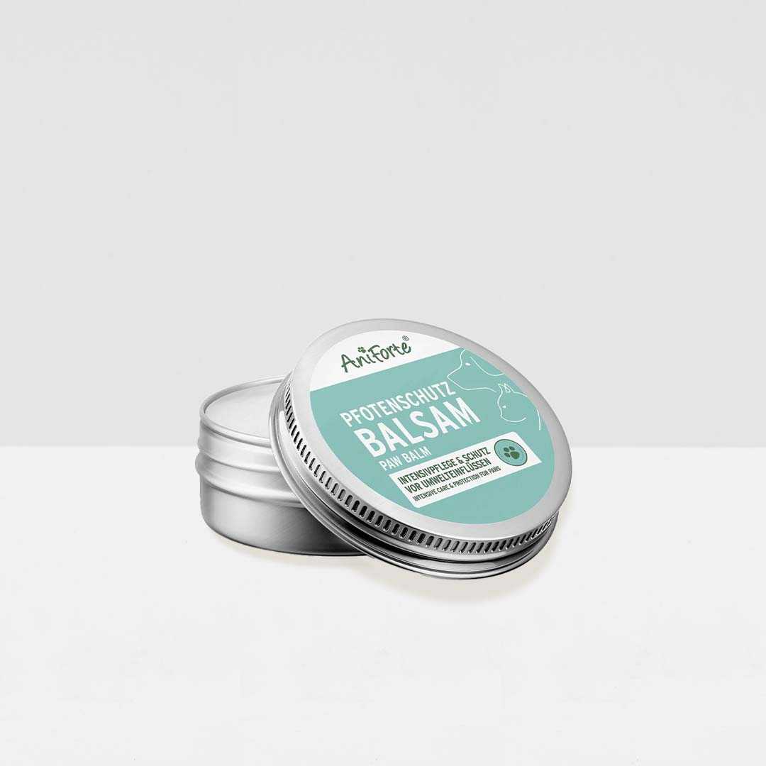 AniForte® Pfotenschutz Balsam in einer Metalldose zur Pflege und Schutz von Hunde- und Katzenpfoten gegen Umwelteinflüsse.
