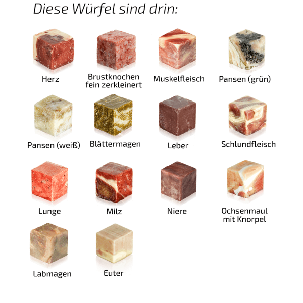 Graf Barf Juniormenü Rind mit 14 Rohfutterwürfeln für gesundes Wachstum bei Junghunden