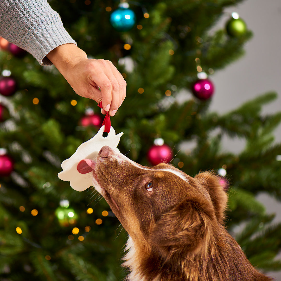 Hund schnuppert an Lebkuchen aus Rinderhaut vor Weihnachtsbaum mit Schmuck und bunten Kugeln