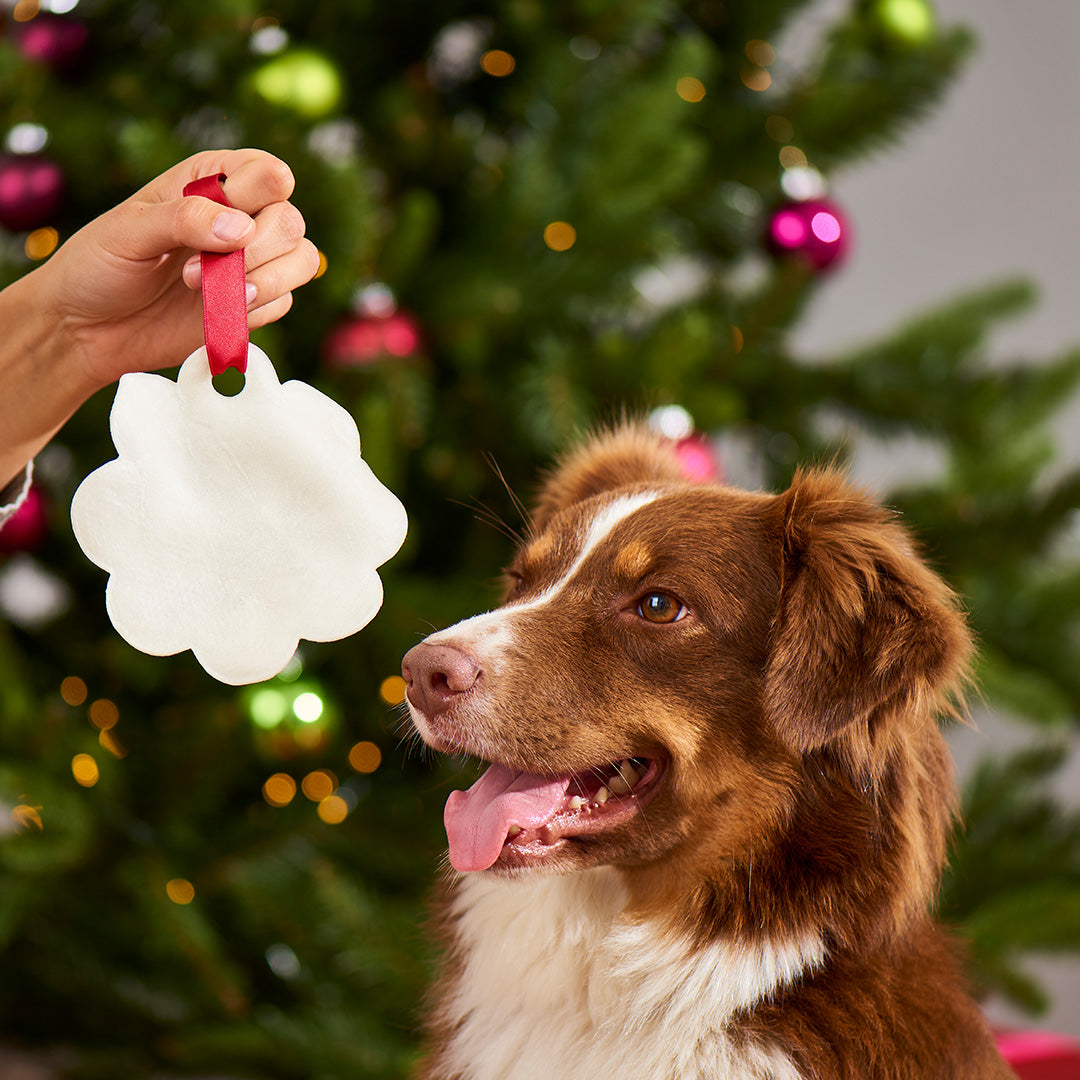 Weihnachtlicher Lebkuchen für Hunde aus 100 % Rinderhaut als Baumschmuck und Kauspaß vor Tannenbaum