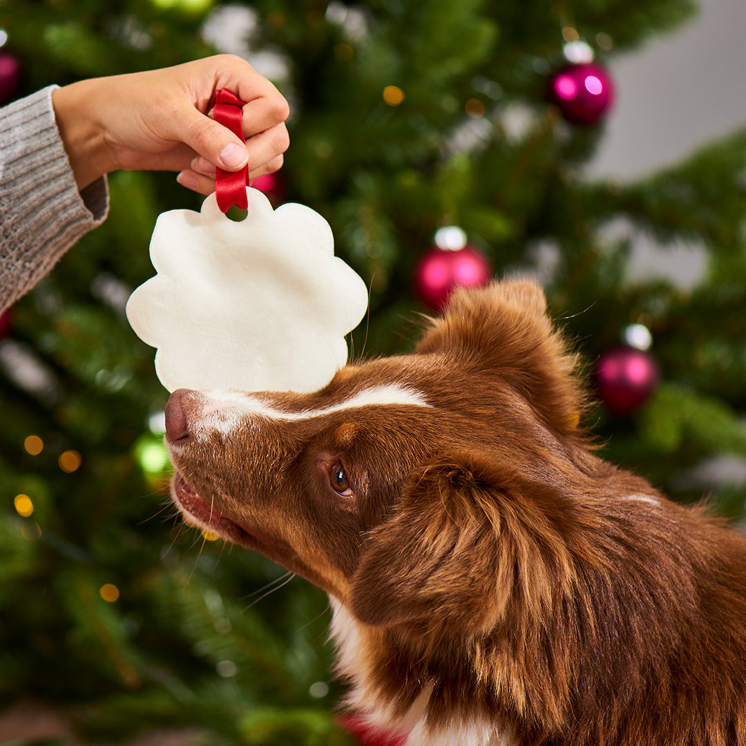 Weihnachtlicher Lebkuchen aus Rinderhaut als Kauspaß und Dekoration für Hunde am Christbaum