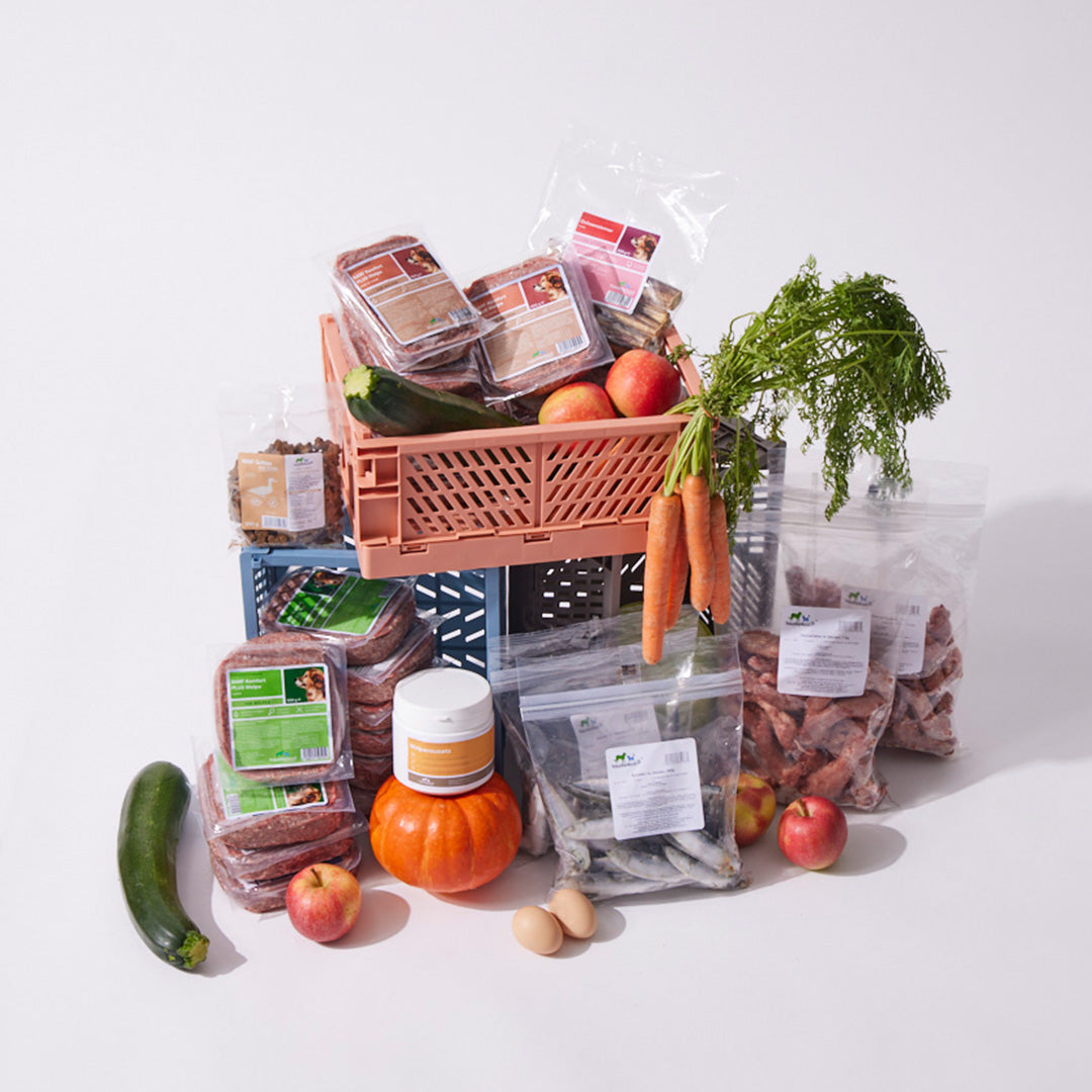 Welpenbox 4 (2025) - haustierkost.de®