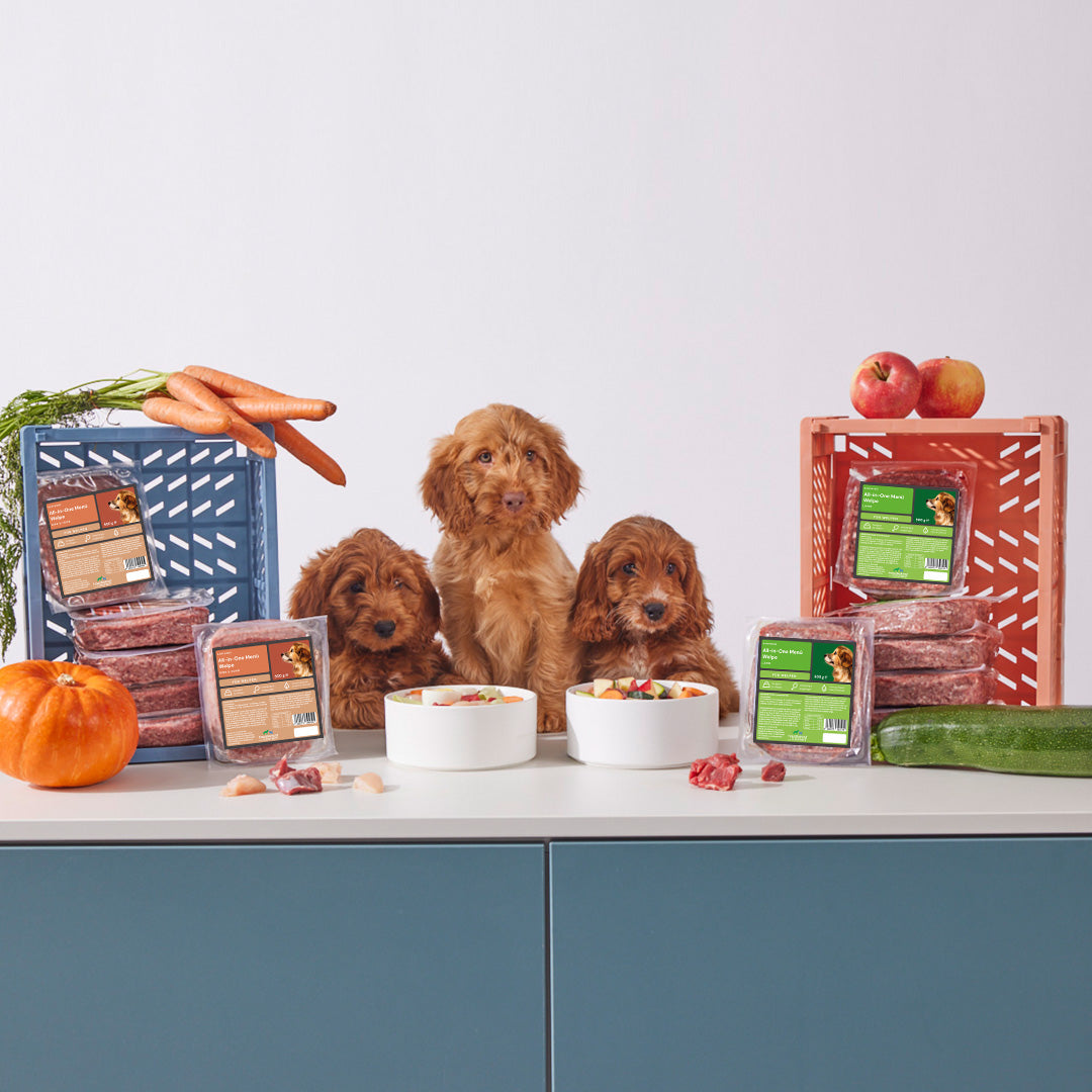 BARF Komfort Plus Lamm Welpe - haustierkost.de®