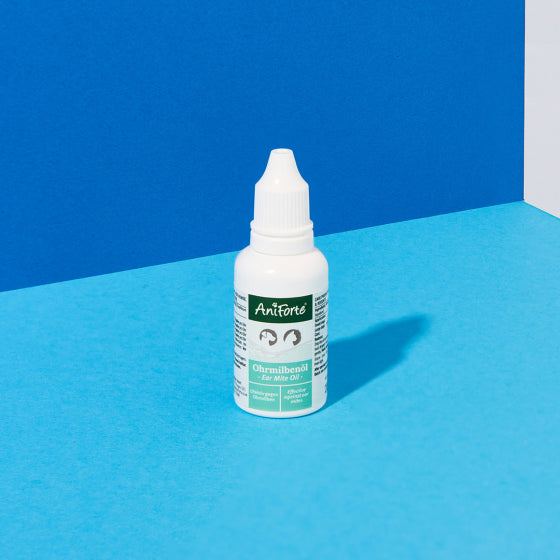 AniForte® Ohrmilbenöl, 20 ml Flasche vor blauem Hintergrund, Pflegemittel gegen Ohrmilben für Haustiere.