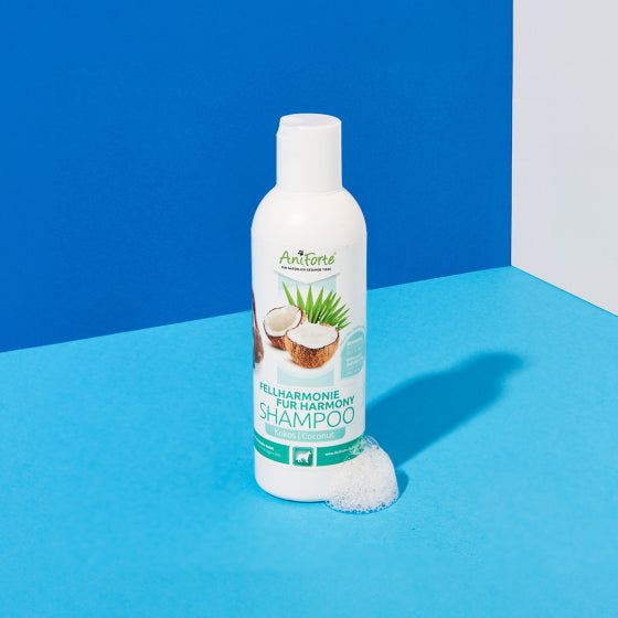 AniForte® Fellharmonie Shampoo Kokos, 200 ml Flasche auf blauem Hintergrund, sanfte Fellpflege für Hunde mit Kokosöl und Aloe Vera.