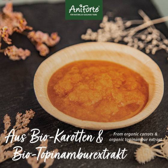 AniForte® BIO Morosan, 6 x 100 g, Schonkost für Hunde, Bio-Karotten, Bio-Topinambur, natürliche Darmgesundheit.