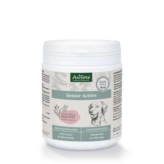 AniForte® Senior Active, 250 g Dose für ältere Hunde, unterstützt Vitalität und Agilität.