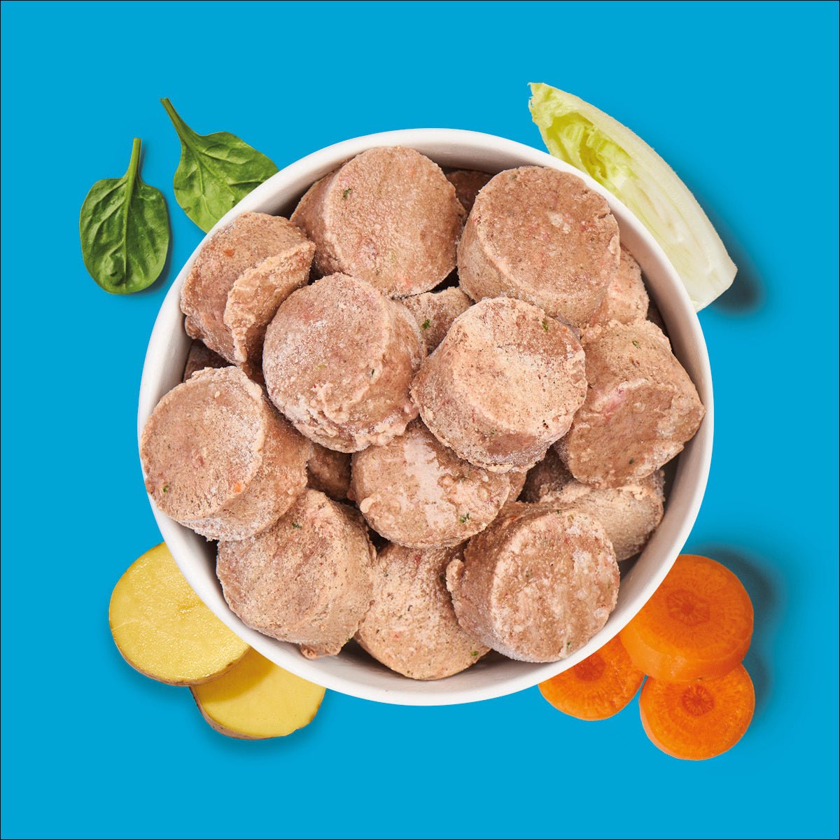 Nutriment BARF In One ENTE - haustierkost.de®