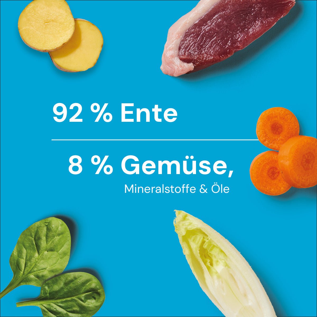 Nutriment BARF In One ENTE - haustierkost.de®