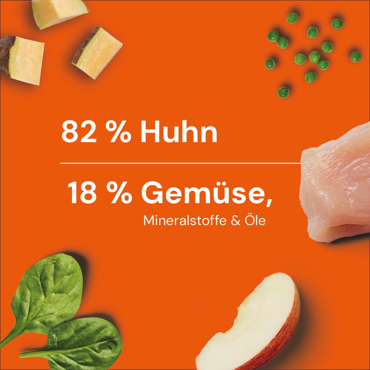 Nutriment BARF In One GEFLÜGEL - haustierkost.de®