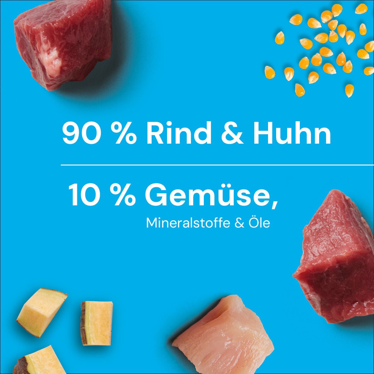 Nutriment BARF In One JUNIOR - haustierkost.de®
