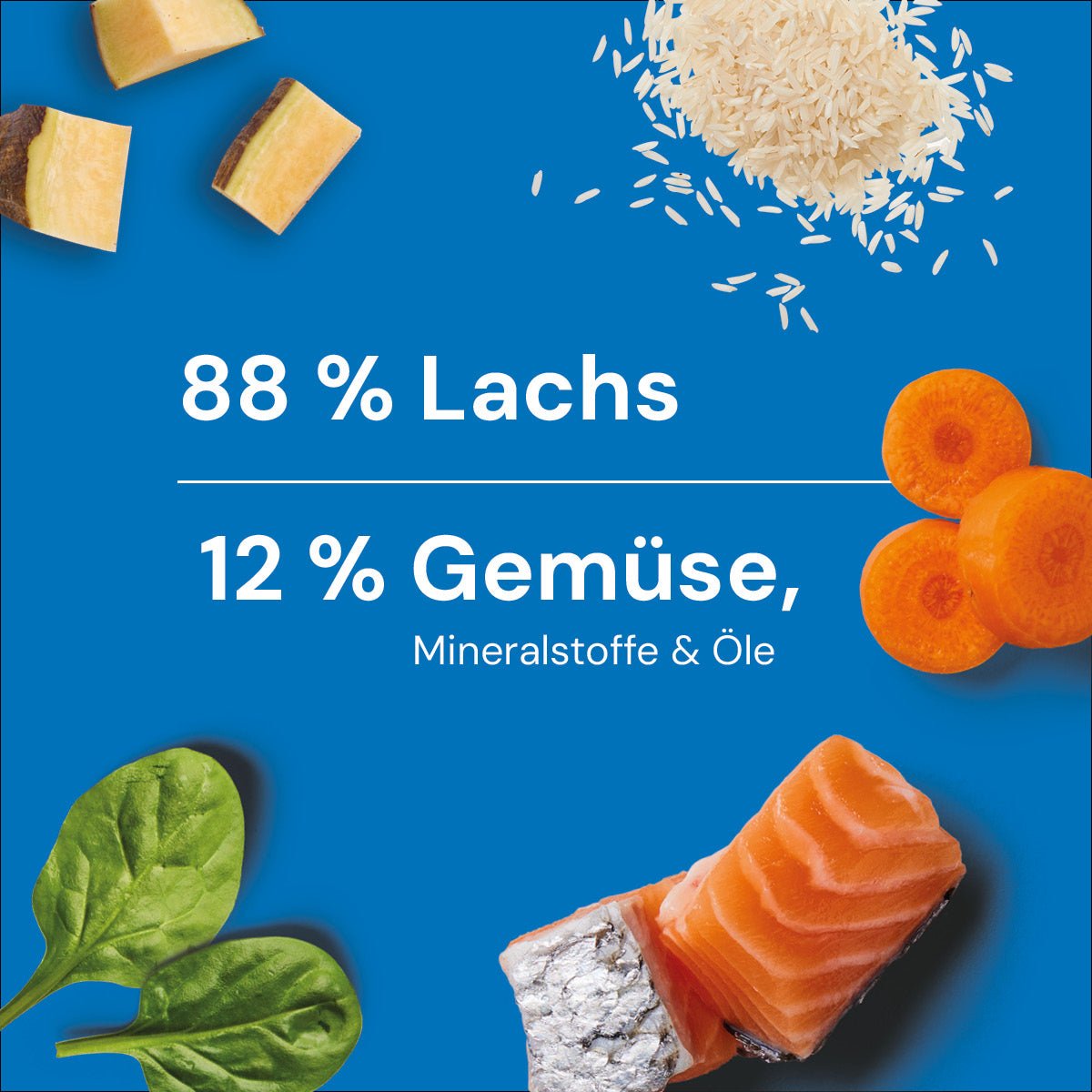 Nutriment BARF In One LACHS - haustierkost.de®