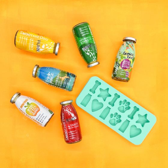 SmoothieDog® Probierpaket mit 6 Flaschen à 250 ml und Eiswürfelform für vielseitige Hundeernährung.