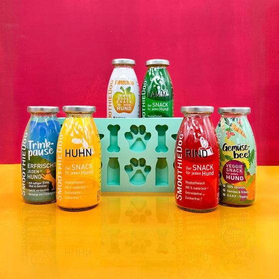 Probierpaket von SmoothieDog® für Hunde mit 6 verschiedenen Smoothies in 250 ml Flaschen, umgeben von einer Eiswürfelform für Hunde.