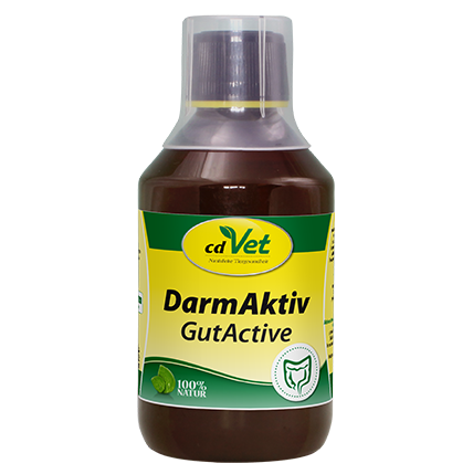 cdVet DarmAktiv 250 ml Flasche, verdauungsfördernd, probiotische Fermentation.