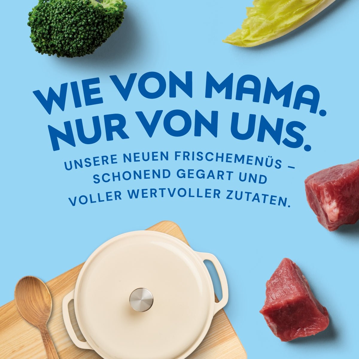 Nutriment Schonend gegartes Frischemenü Lachs, Kürbis & Zucchini - haustierkost.de®