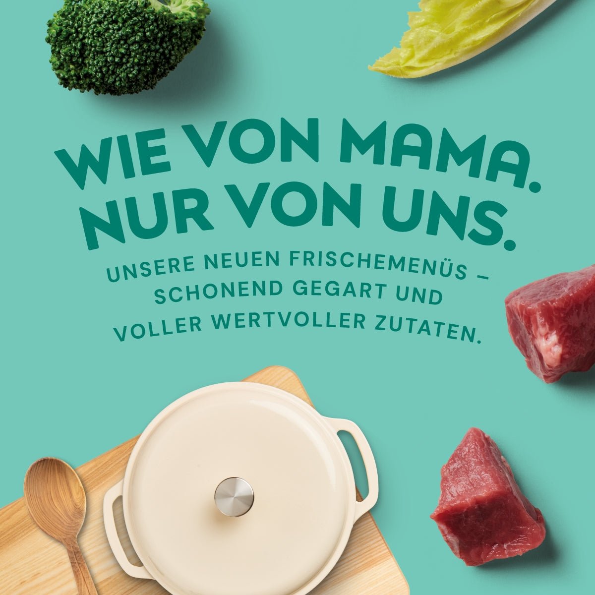 Nutriment Schonend gegartes Frischemenü Pferd, Spinat & Erbsen - haustierkost.de®