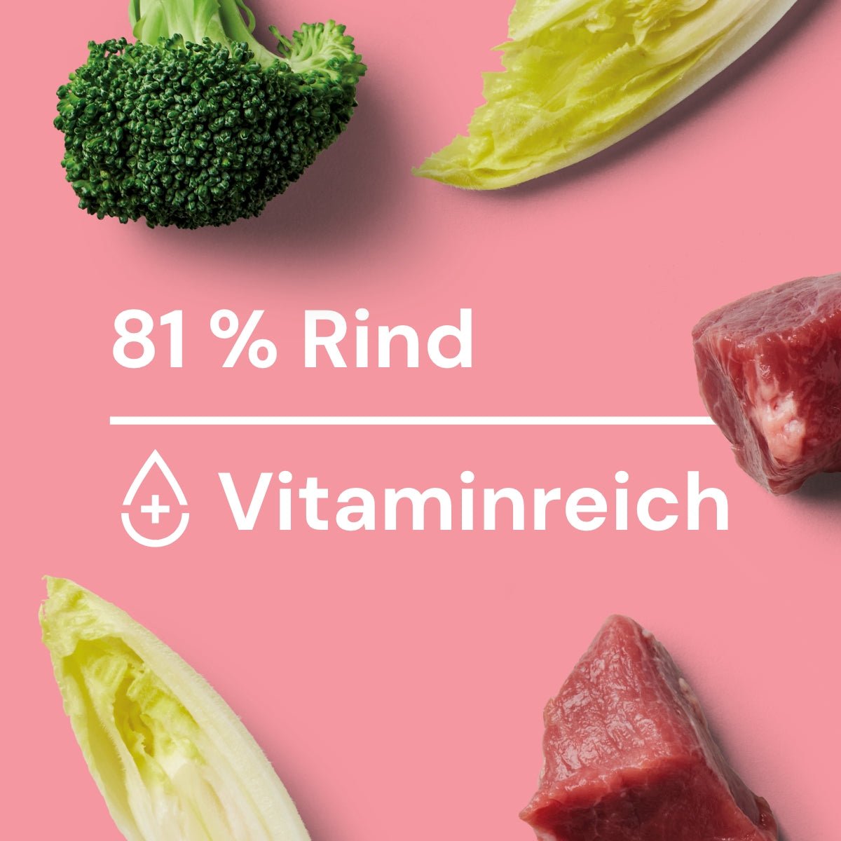Nutriment Schonend gegartes Frischemenü Rind, Chicorée & Brokkoli - haustierkost.de®