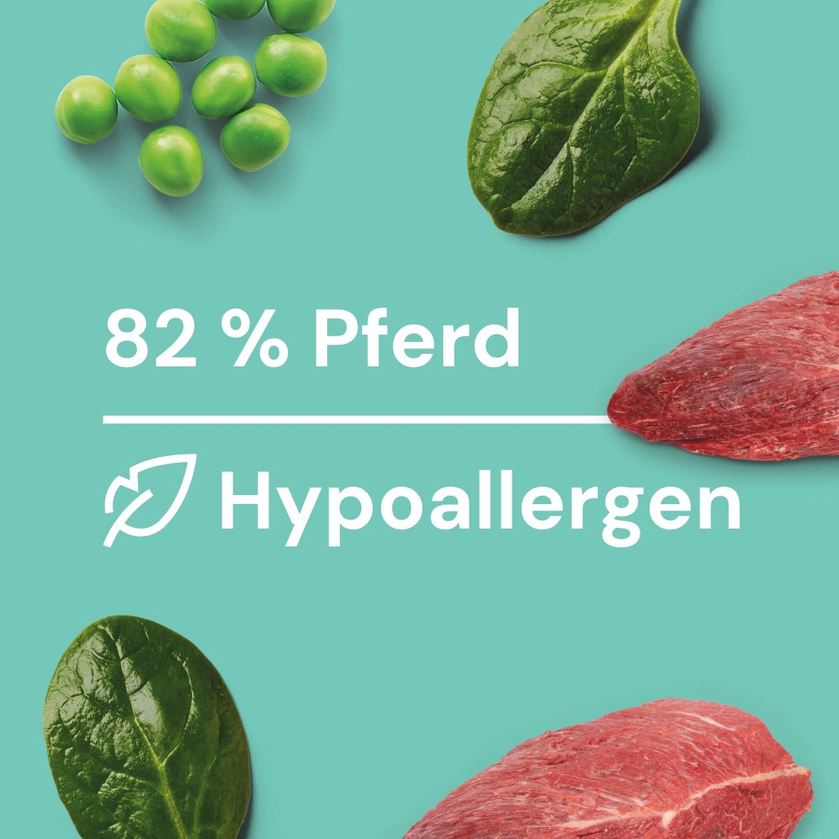 Nutriment Schonend gegartes Frischemenü Pferd, Spinat & Erbsen - haustierkost.de®