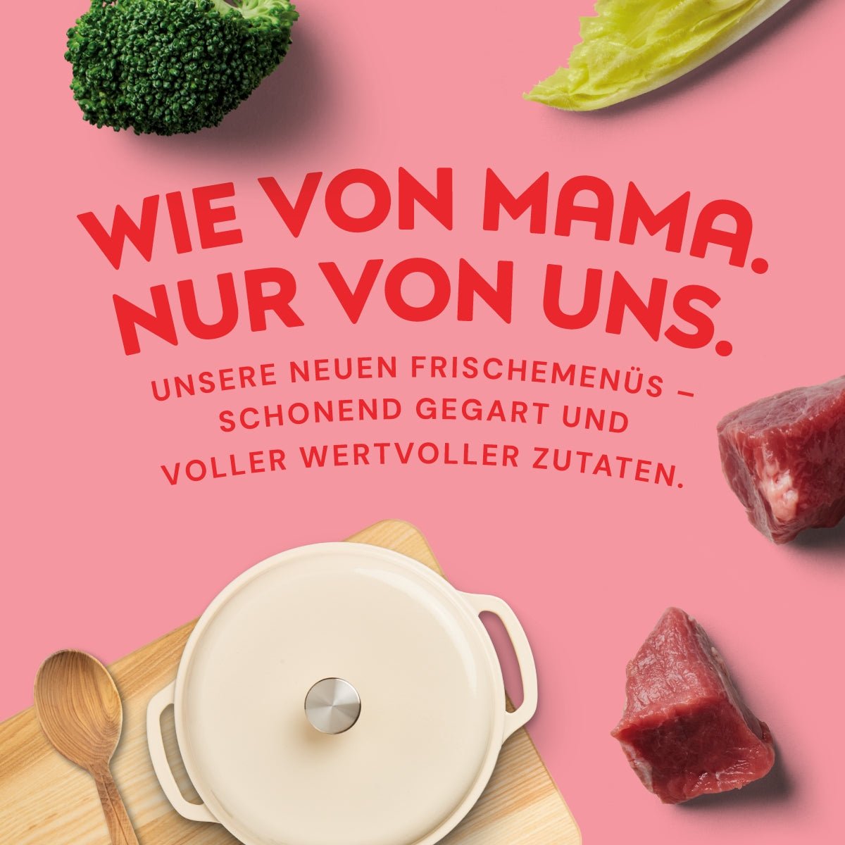 Nutriment Schonend gegartes Frischemenü Rind, Chicorée & Brokkoli - haustierkost.de®