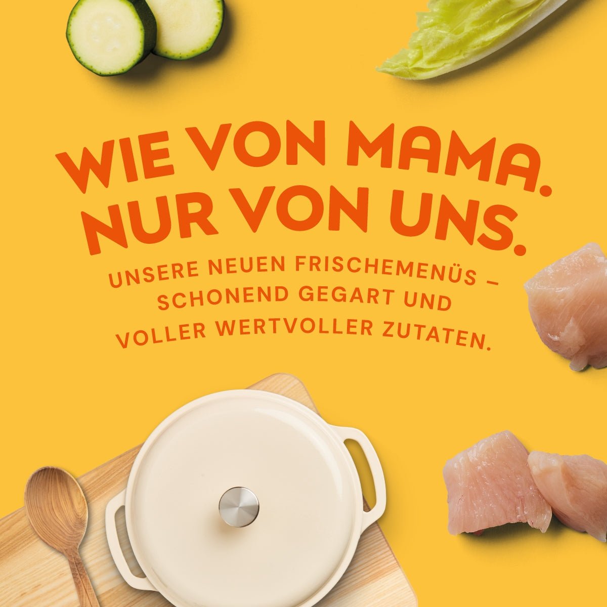 Nutriment Schonend gegarte Medaillons Huhn, Chicorée & Zucchini - haustierkost.de®