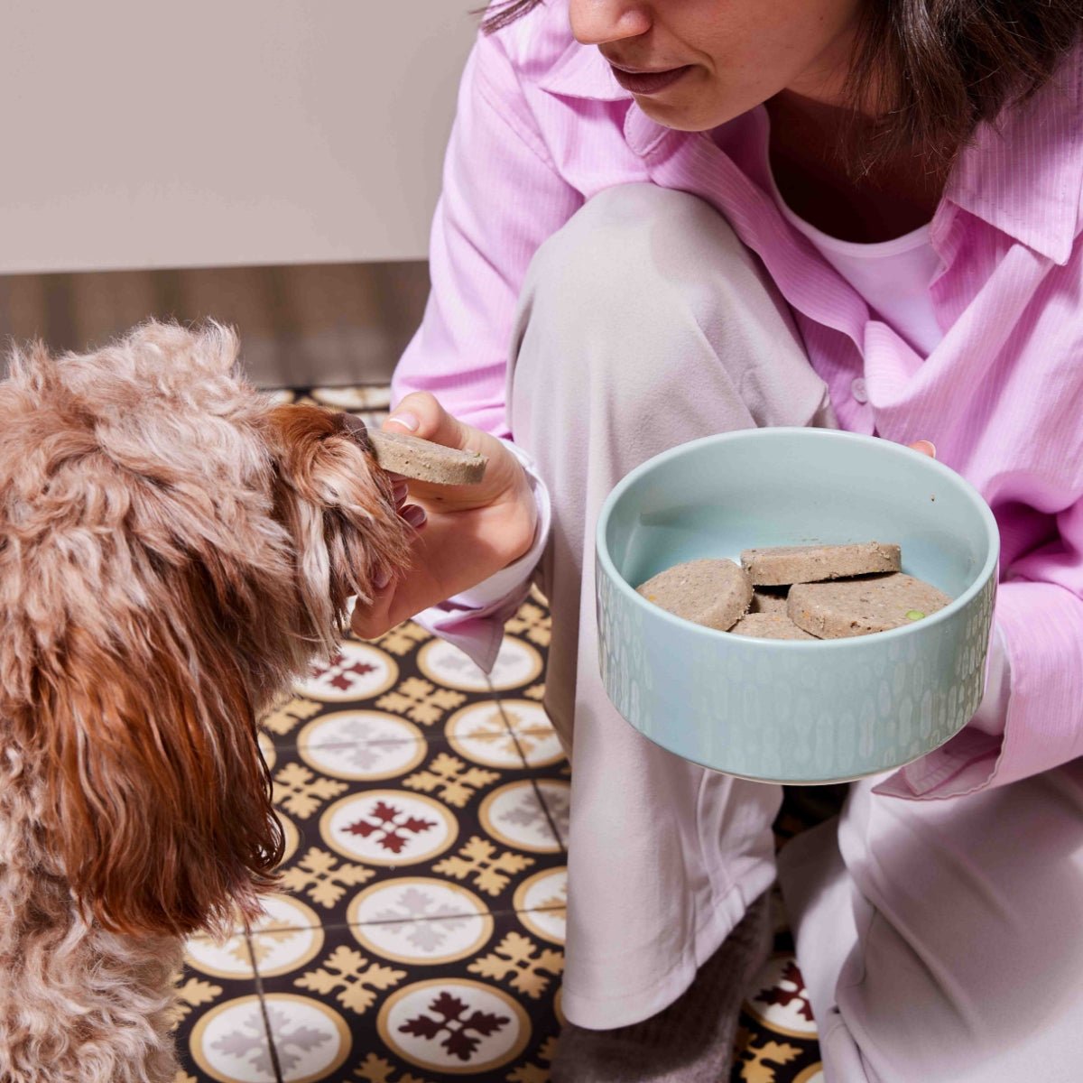 Nutriment Schonend gegarte Medaillons Rind, Chicorée & Brokkoli - haustierkost.de®