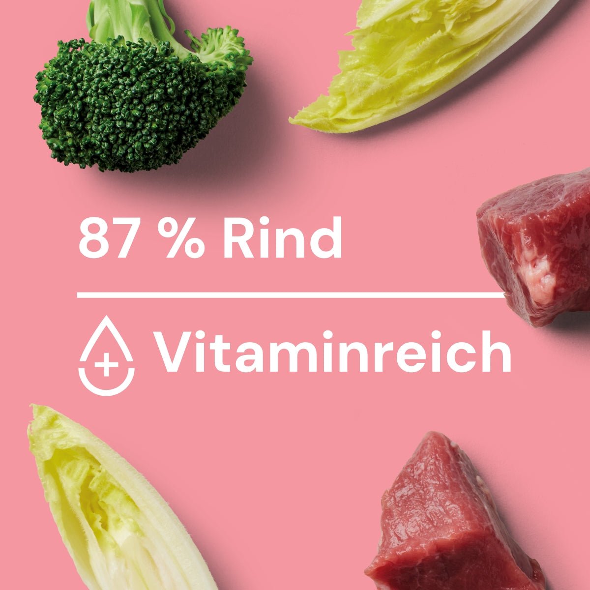 Nutriment Schonend gegarte Medaillons Rind, Chicorée & Brokkoli - haustierkost.de®