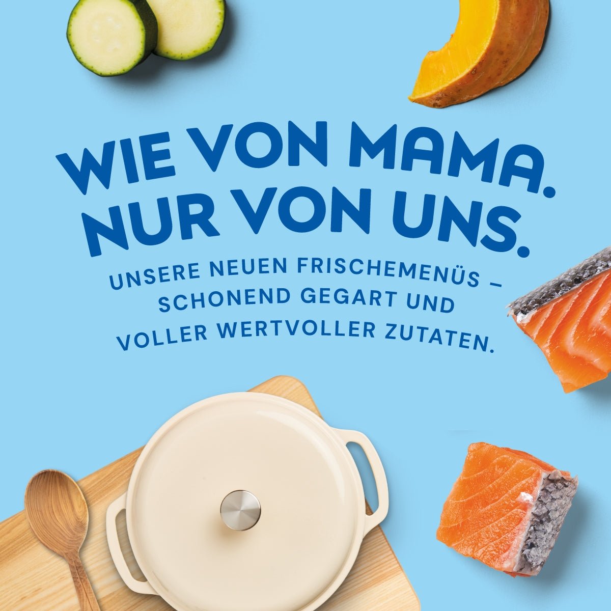 Nutriment Schonend gegarte Medaillons Lachs, Kürbis & Zucchini - haustierkost.de®