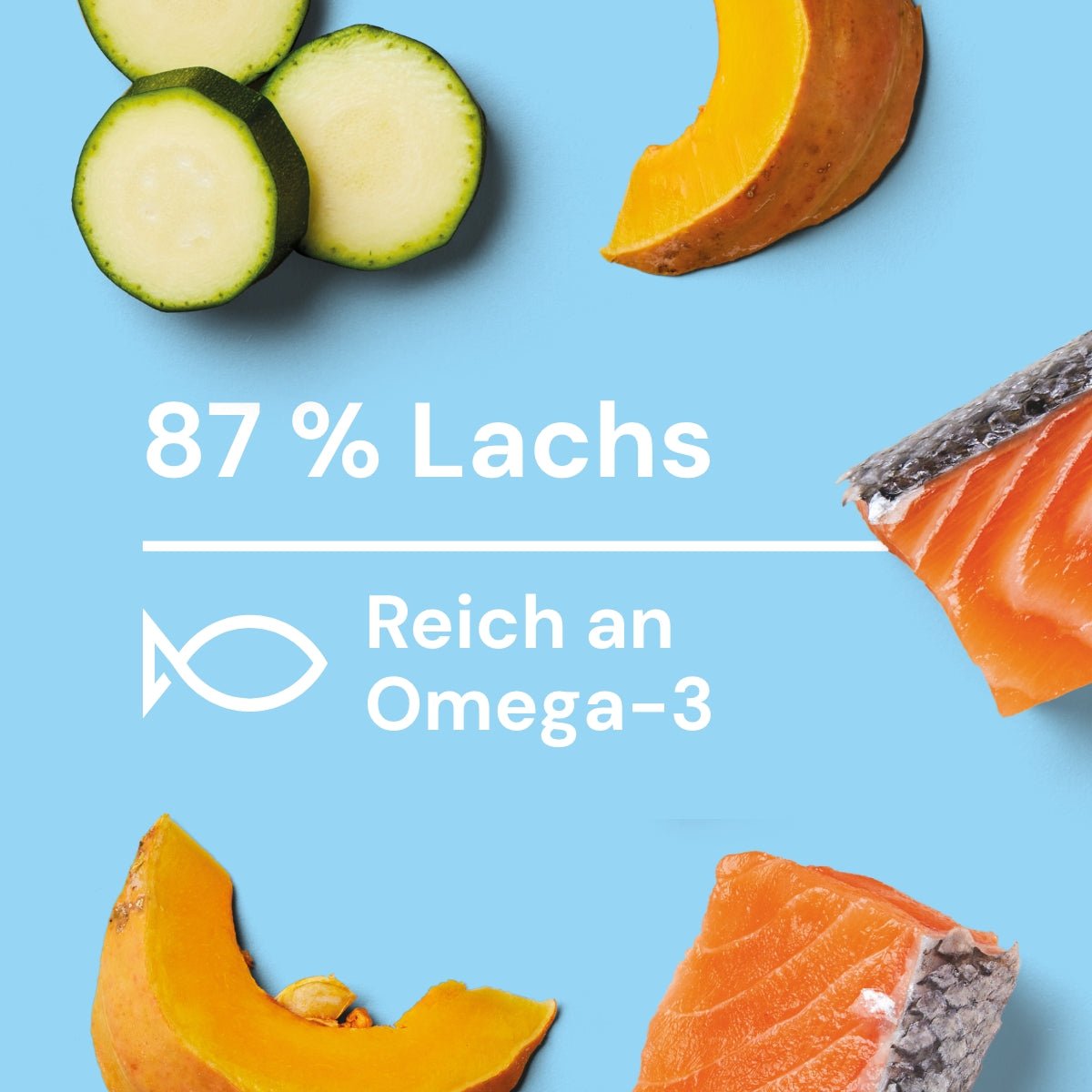 Nutriment Schonend gegarte Medaillons Lachs, Kürbis & Zucchini - haustierkost.de®