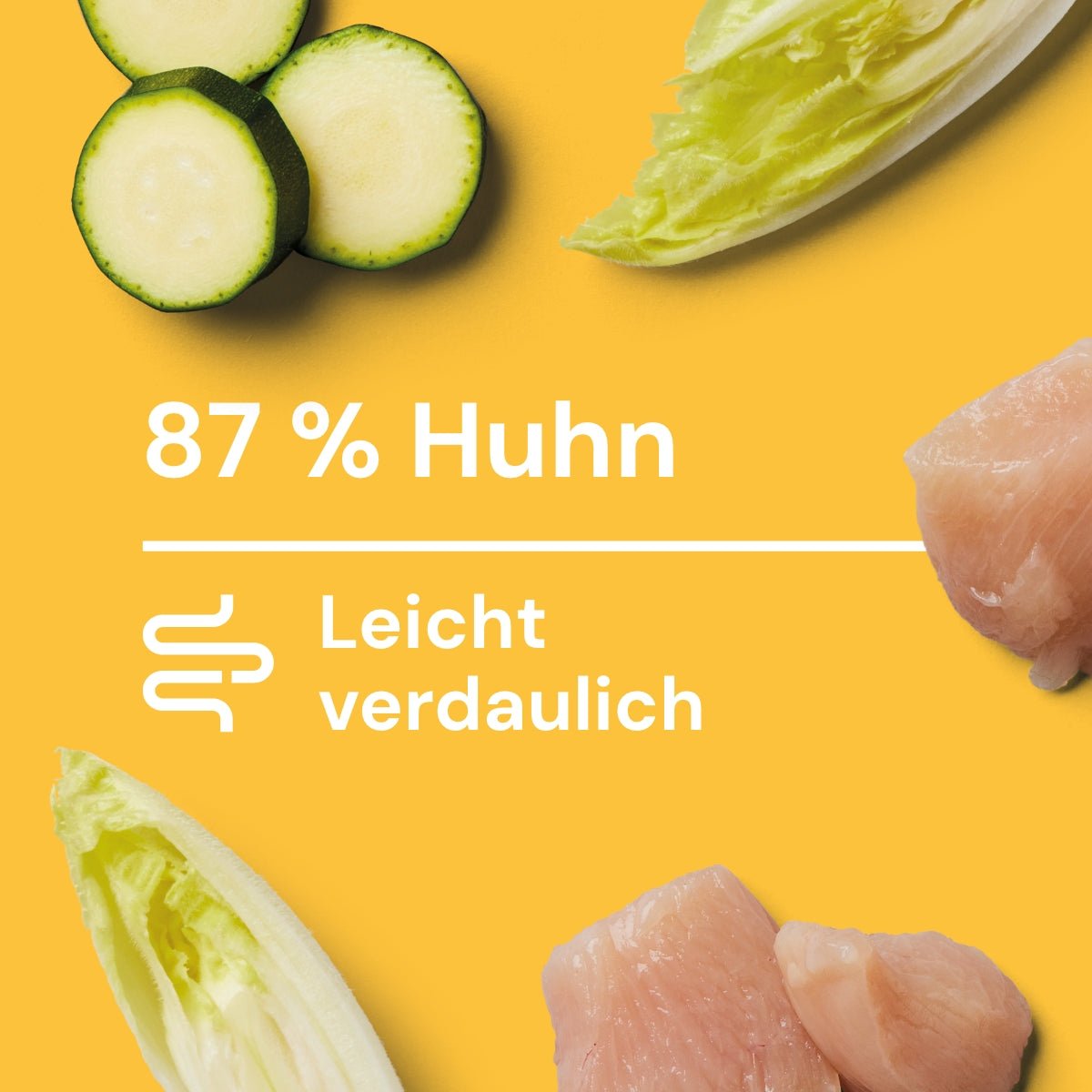 Nutriment Schonend gegarte Medaillons Huhn, Chicorée & Zucchini - haustierkost.de®