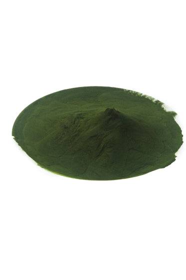 BIO Chlorella Pulver für Hunde und Katzen, 100g, natürliche Algen in Bioqualität.