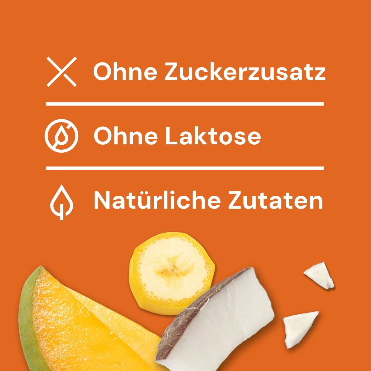 Nutriment HundeEis veganes Eis mit Banane, Kokos-Joghurt und Mango ohne Zuckerzusatz und Laktose